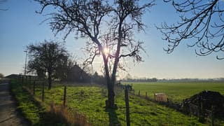 De zon schijnt door de bomen