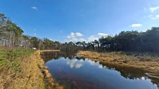 Volop zonnig in Delden, 17 graden, genieten dit weer, tijdstip foto 13.36 uur.