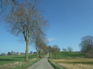 strakblauw/ lentedag/ wind