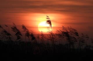 Opkomende zon vanmorgen