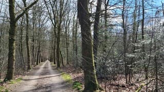 Veel bewolking en soms wat zon