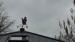 Windwijzer van een kok 