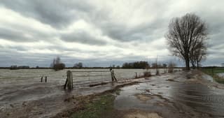 Hoogwater en herfstachtig