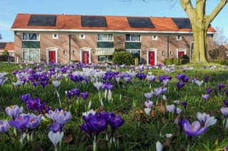 Mooi wonen in de lente