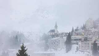 Alpen in de wolken