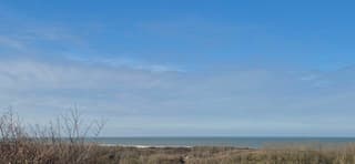 Schitterend weer, heel veel koude wind.