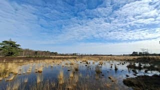 Stralend lenteweer met zon en wat bewolking boven dit moerasachtige heidelandschap 