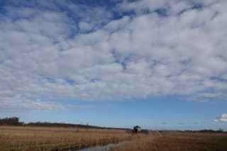 Mooi natuurpad en vogelhut bij Naarden