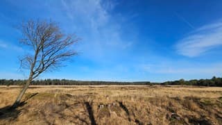 Prachtige lentedag in Uffelte