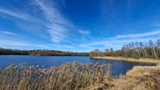 Enschede: lekker warm lenteweer, blauwe luchten met wat lichte sluierbewolking