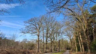 Voorjaarsvibes in Norg