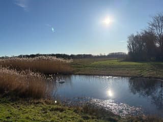 Zon, natuurlijke rust