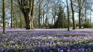 Een prachtige lentedag