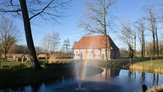 Regenboog