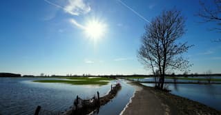 Lentezonnetje in optima forma