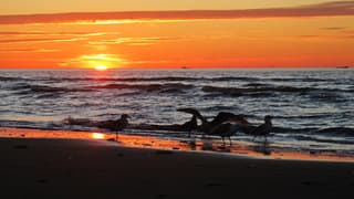 Zonsondergang na zonnige lentedag