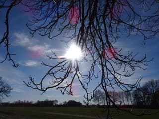 Zonnig