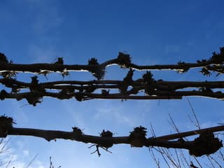 Blauwe lucht
