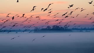 Frisse start van de dag