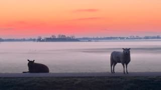 Koude start van de dag
