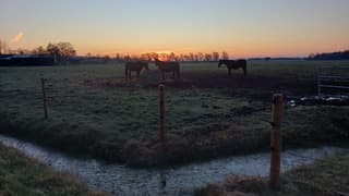 Zonsopkomst