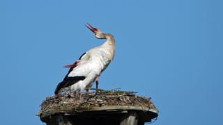 Nu nog beginnen met bouwen!