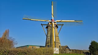 Korenmolen in de zon