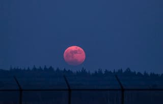 Bloedmaan 03-03-2026