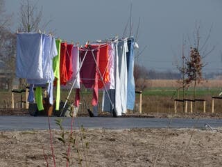 De was droogt weer snel vandaag.