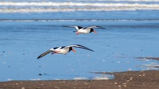 MOOIE ZONNIGE DAG AAN ZEE