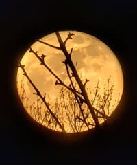 Bloedmaan boven Nijmegen 