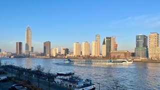 Riviercruiseschip is straatje aan het keren op de Nieuwe Maas 