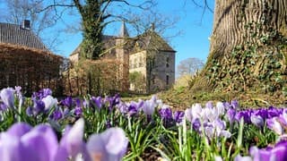 Nog meer blauwe lucht...