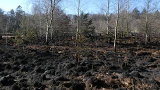 Een flinke natuurbrand 