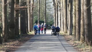 Prachtig wandel/fietsweer