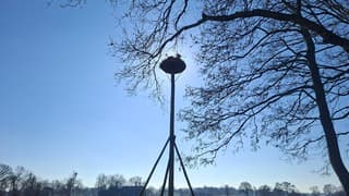 Deze 2 ooievaars zijn hun nest weer aan het paraat maken voor de leg