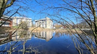 Spiegeling in het water