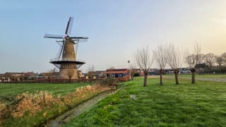 Molende5gebroeders in morgenlucht 