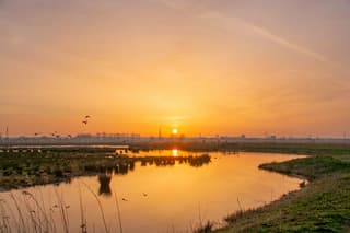 Zonsopkomst met Saharazand