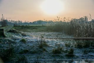 Rijp en Saharastof bij Zonsopkomst