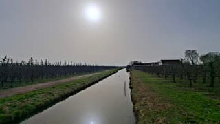 Door het saharazand fletse wereld