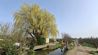 Geen wolkje aan de lucht, wel ophelder beeld door saharazand