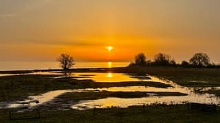 Zonsopkomst IJsselmeer 