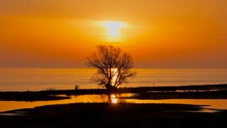 Zonsopkomst IJsselmeer 