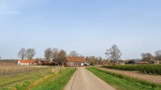 Een melkachtige lucht