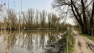Langs de  vogelplas op weg naar de grienden 