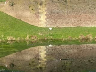 Wat een zonnige dag in het zuiden