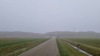 Duinen langs de Slufter aan de horizon 