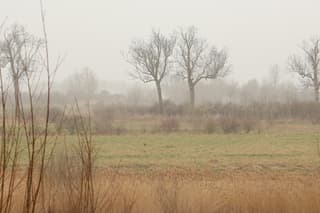 Mist