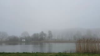 Frisjes en mistig vanmorgen 